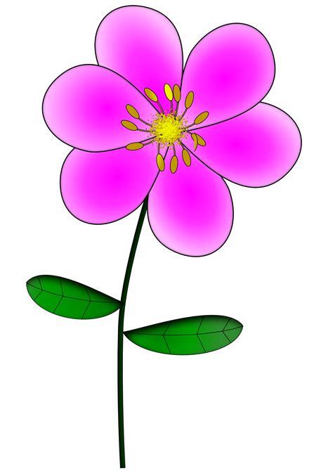 Pink Flowers Clipart