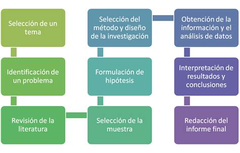 Fases Y Etapas De La Investigacion Cuantitativa Coggle Diagram Images