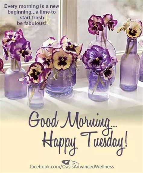 Good Morning Happy Tuesday Every Morning Is A New Beginning Pictures