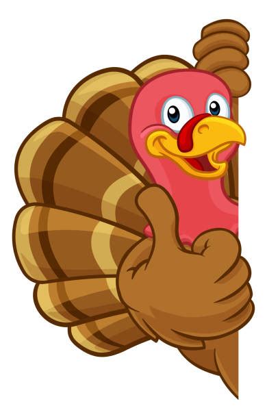 Drawing Of The Funny Looking Turkeys Illustrations Royalty Free Vector