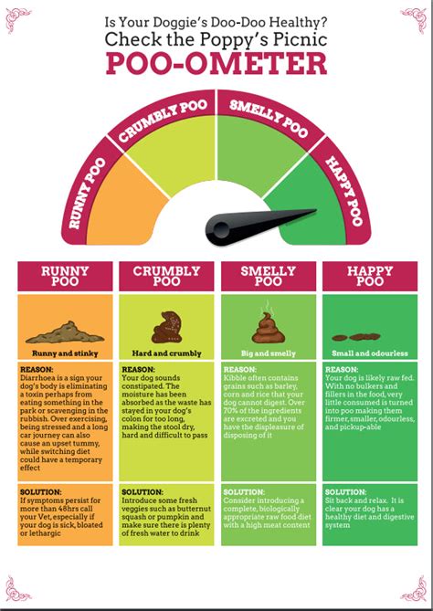 Know Your Poo Chart