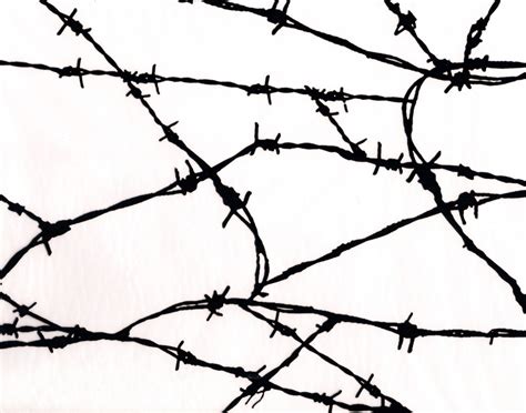 Barb Wire Drawing At Getdrawings Free Download