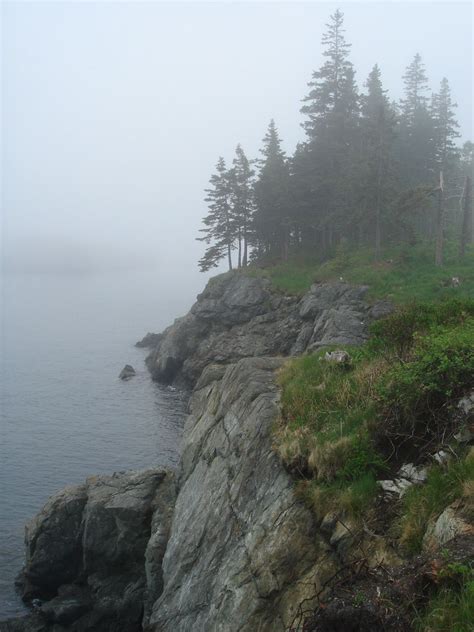The Fog Is Covering The Trees And Rocks By The Water