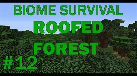 Minecraft Biome Survival 12 Roofed Forest Youtube