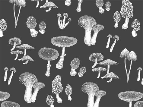Mushroom Pattern By Paula Schultz On Dribbble