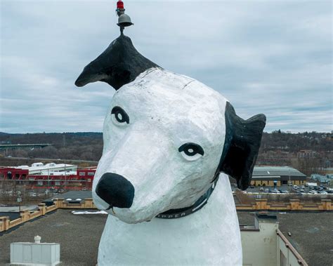 Best of 2023 - Times Union