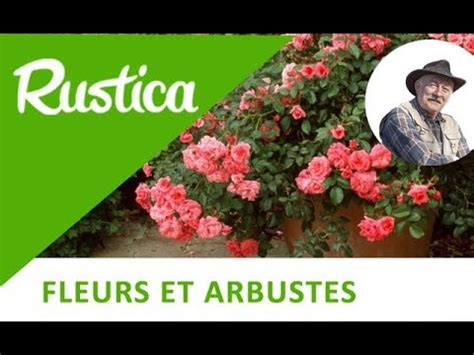 We did not find results for: Planter un rosier en pot - YouTube