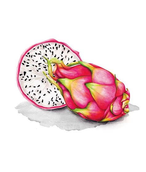 Dragon Fruit Watercolour Illustration Art Print By Amanda Dilworth X