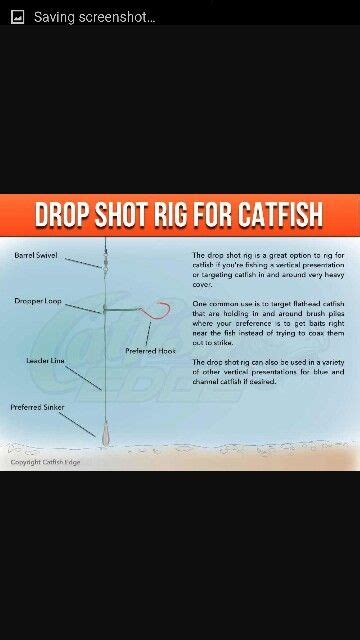 Dropper Cat Drop Shot Rig Catfish Drop Shot