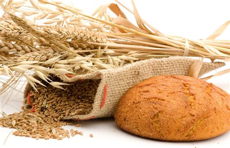 Gluten Allergies: Signs, Symptoms, and Management - America's Best Care ...