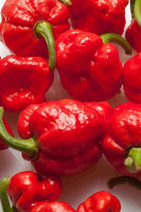 Trinidad Moruga Scorpion Pepper: All About It - Yeah Mon Food