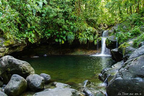 Bassin Paradise Guadeloupe Source D Eau Chaude C