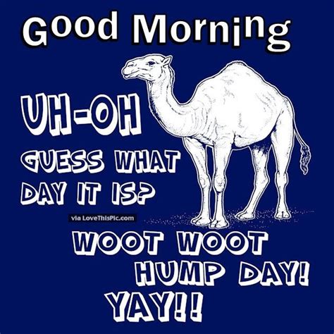 good morning uh oh guess what day it is hump day good morning wednesday hump day hump day c