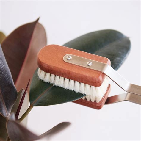 How to dust your hair at home. Leaf Dusting Brush | Dust brush, Stoneware planter, Pear wood