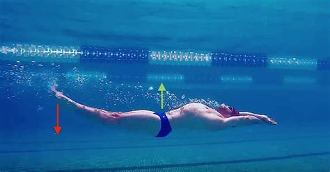 Backstroke Swimming Technique How To Swim Faster Clear Steps Tips