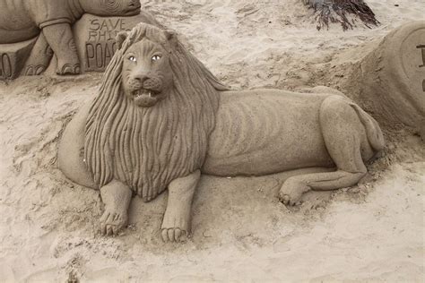 sand lion durban beach sand sculptures sand art snow sculptures