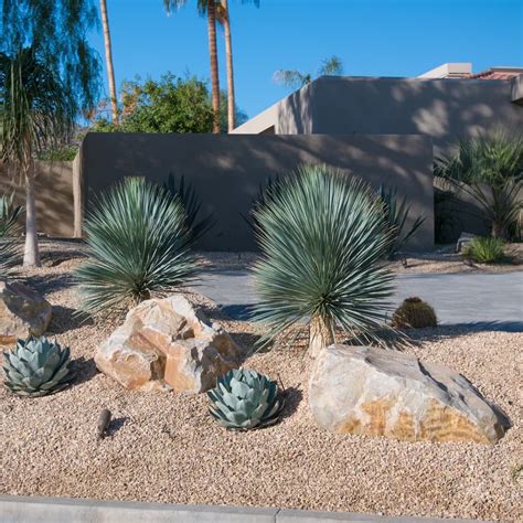 Desert Landscape Front Yard Desert Landscaping Backyard Cactus Garden