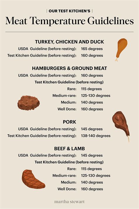 Meat Temperature Chart Magnet Chicken Turkey Beef Steak Cooking Grill