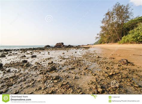 Libong Island Koh Libong Trang Thailand Stock Image Image Of Sand Relax