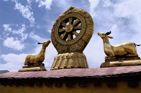 The Dharma Wheel Dharmachakra Symbol Of Buddhism