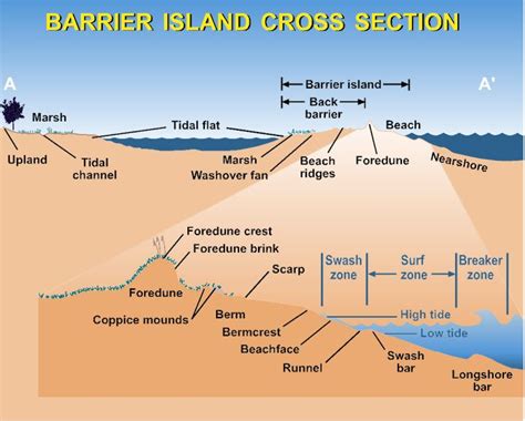 Barrier Island Cross Section Source Rgeologyschool