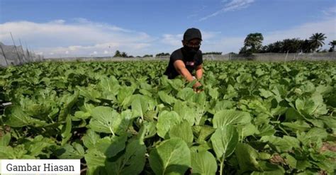 Objektif pelaksanaan program transformasi minda. Johor Peruntuk RM51 Juta Transformasi Sektor Pertanian ...
