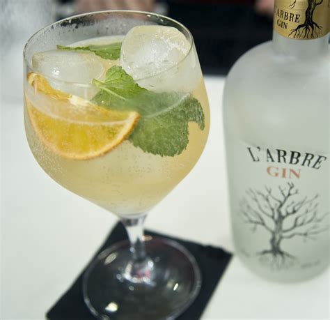 Ginger Ale Larbre Gin