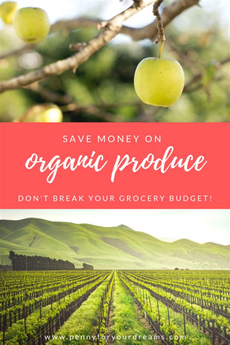 Save Money On Organic Produce Dont Break Your Grocery Budget