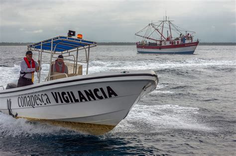 Operativos Contra Pesca Furtiva Logran La Retención De 16 Toneladas