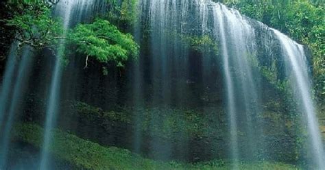 Archive for the 'desktop wallpaper bergerak (animasi) layaknya screen saver' category. GAMBAR ANIMASI AIR TERJUN BERGERAK | GAMBAR WALLPAPER AIR ...