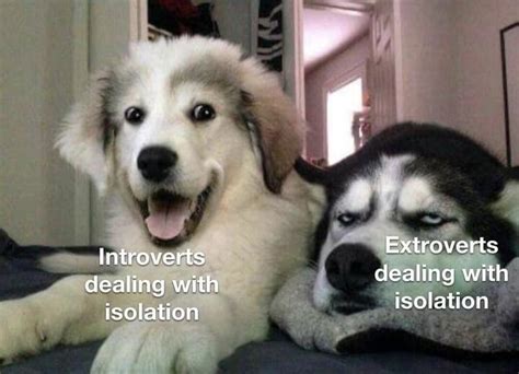 Introverts Dealing With Ea Ing Wit Extroverts Isolation Isolation Ifunny