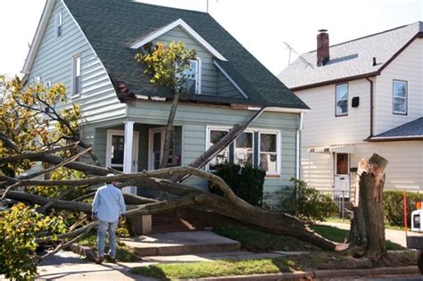 Does Insurance Cover Tree Falling On House Insurance Claim