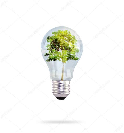 Light Bulb With Tree Inside — Stock Photo © Jannystockphoto 10464409