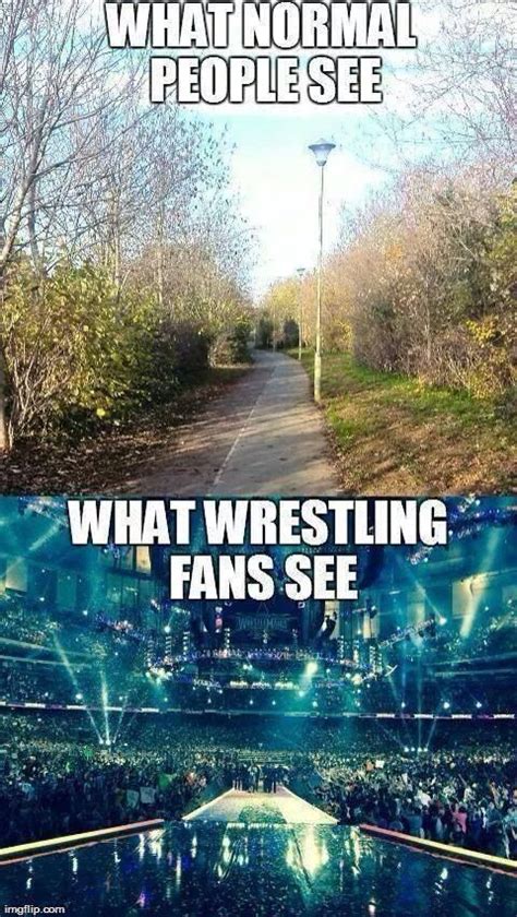 29 Hilarious Wwe Memes Wwe Memes Wrestling Memes Wwe