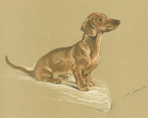 Dachshund Antique Prints Pictures And Art