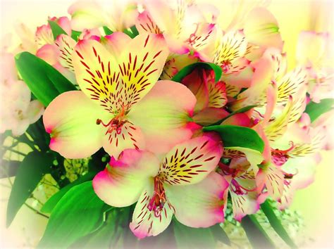 Suitable for wedding, party, home, office and other occasions; Flower Bouquet in Pink and Yellow Photograph by Bishopston ...