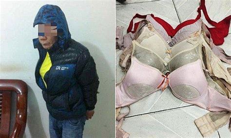 thief with compulsion for stealing women s underwear caught wearing 6 stolen bras daily mail