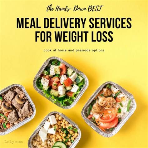 Which Meal Delivery Service Is Best For Weight Watchers