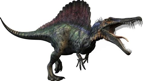 Nizar Ibrahim Spinosaurus Lost Giant Of The Cretaceous In