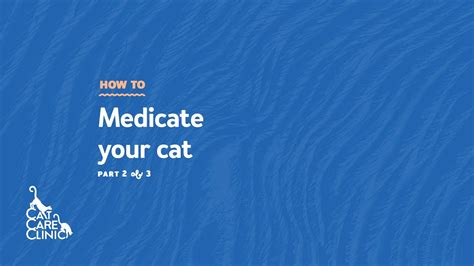 How To Medicate Your Cat Part 2 Of 3 Cat Care Clinic Madison Wi