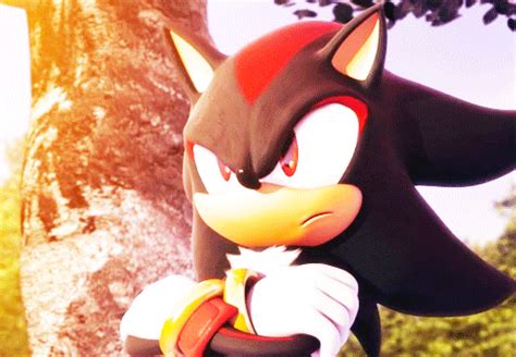 When You See That Stupid Person In Class Shadow The Hedgehog