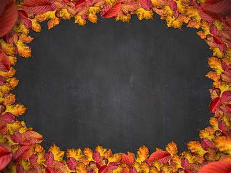 Free Autumn Leaf Frame With Chalkboard Background Nature Grass And