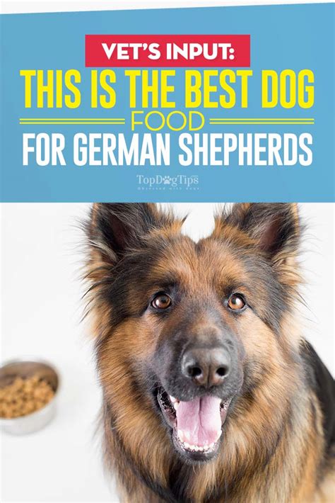 The best german shepherd puppy food for health. Best Dog Food for German Shepherds: 8 Vet Recommended Brands