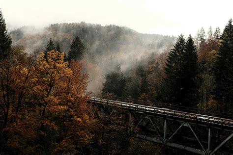 Wallpaper Bridge Forest Trees Fog Autumn Hd Widescreen High