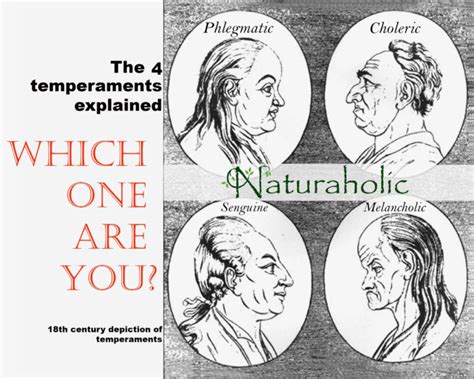 4 Temperaments Explained Naturaholic