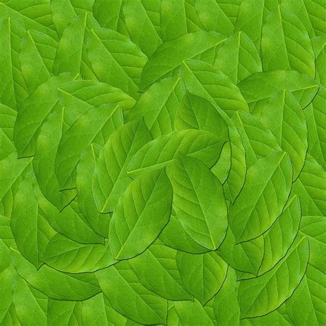 Hd Wallpaper Leaf Plant Nature Green Leaves Texture Design