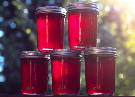 Sweet Red Plum Jelly The Moonlit Kitchen