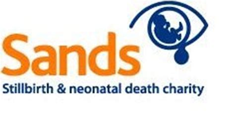Ben Parkin Is Fundraising For Sands The Stillbirth And Neonatal Death