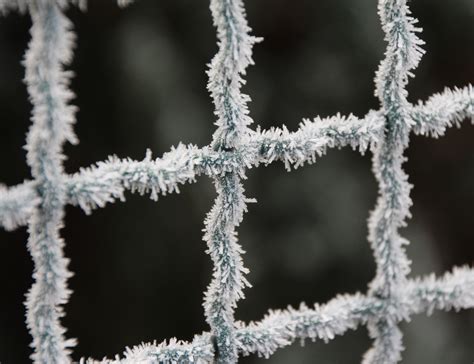 Free Images Branch Snow Cold Winter Fence Frost Ice Weather