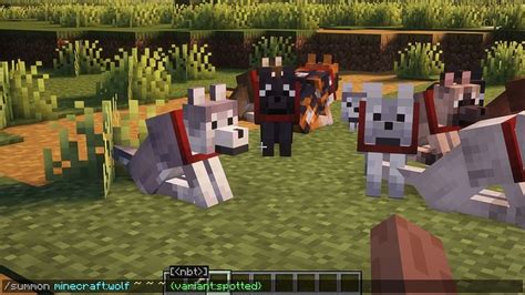 How To Spawn Any Wolf Variant In Minecraft Using Commands